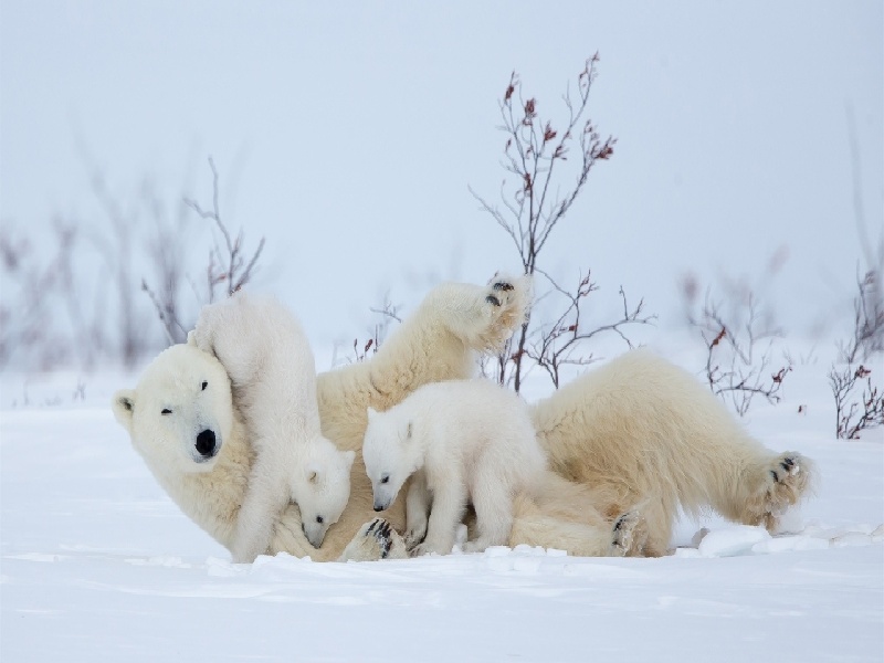 试管 双保胎 请假,西南最好的试管