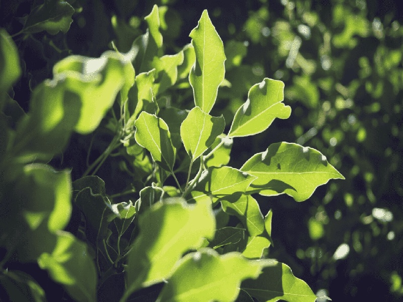 试管婴儿剧情,孝感核酸试管厂家