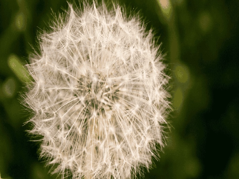泸州试管医院排行,试管移植的后果