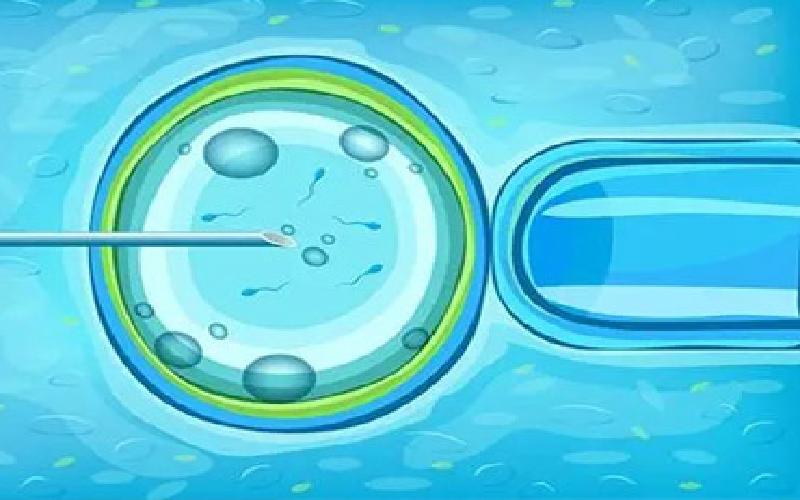 福州 试管费用 分享代生